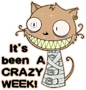 It_s_been_a_crazy_week